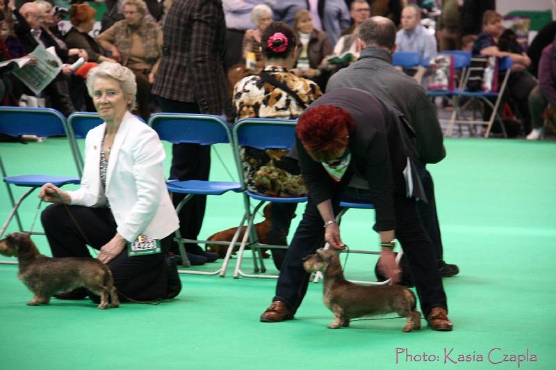 Crufts2011_2 1420.jpg